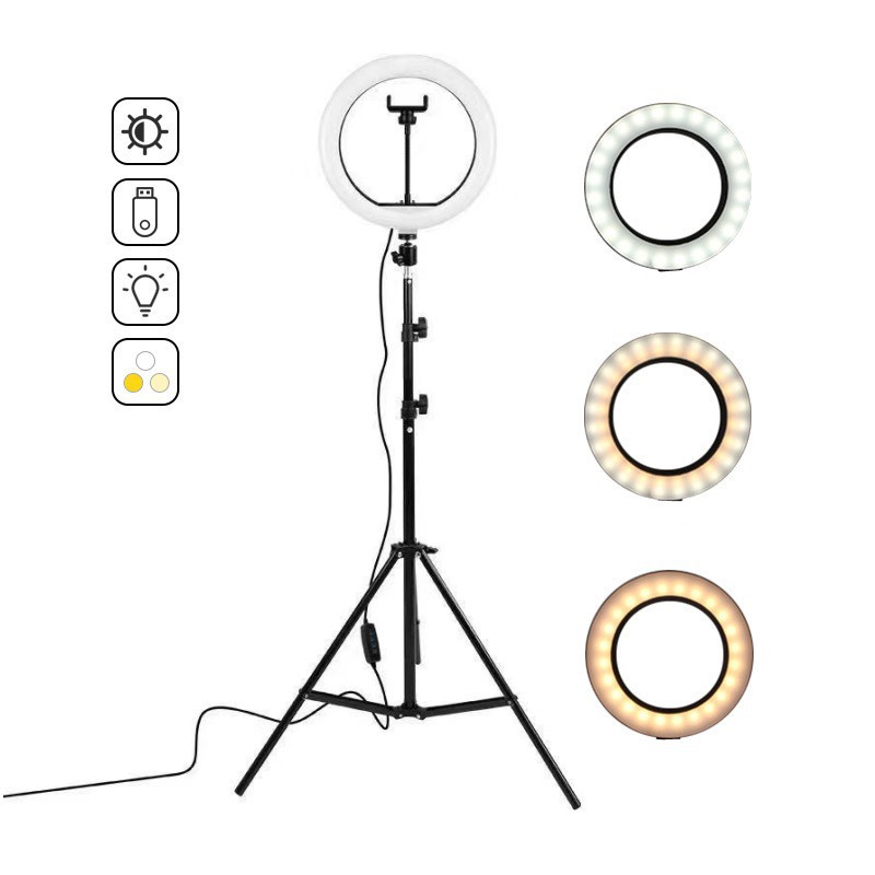 16cm/26cm/30cm LED Selfie Ring - Photography Lighting Wand 评论和价格