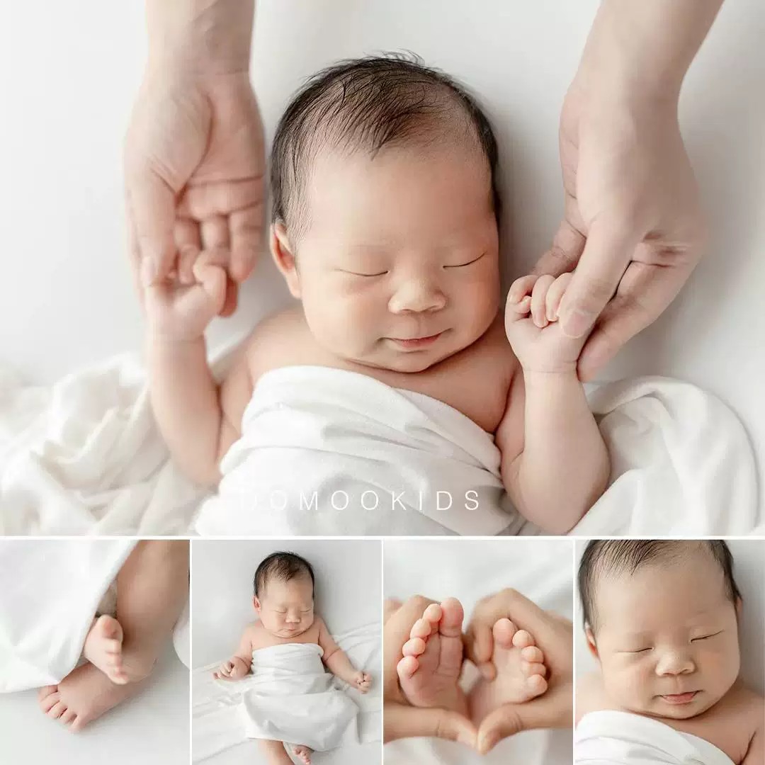 Black light-absorbing backgrou - Photography Lighting And Background 评论和价格